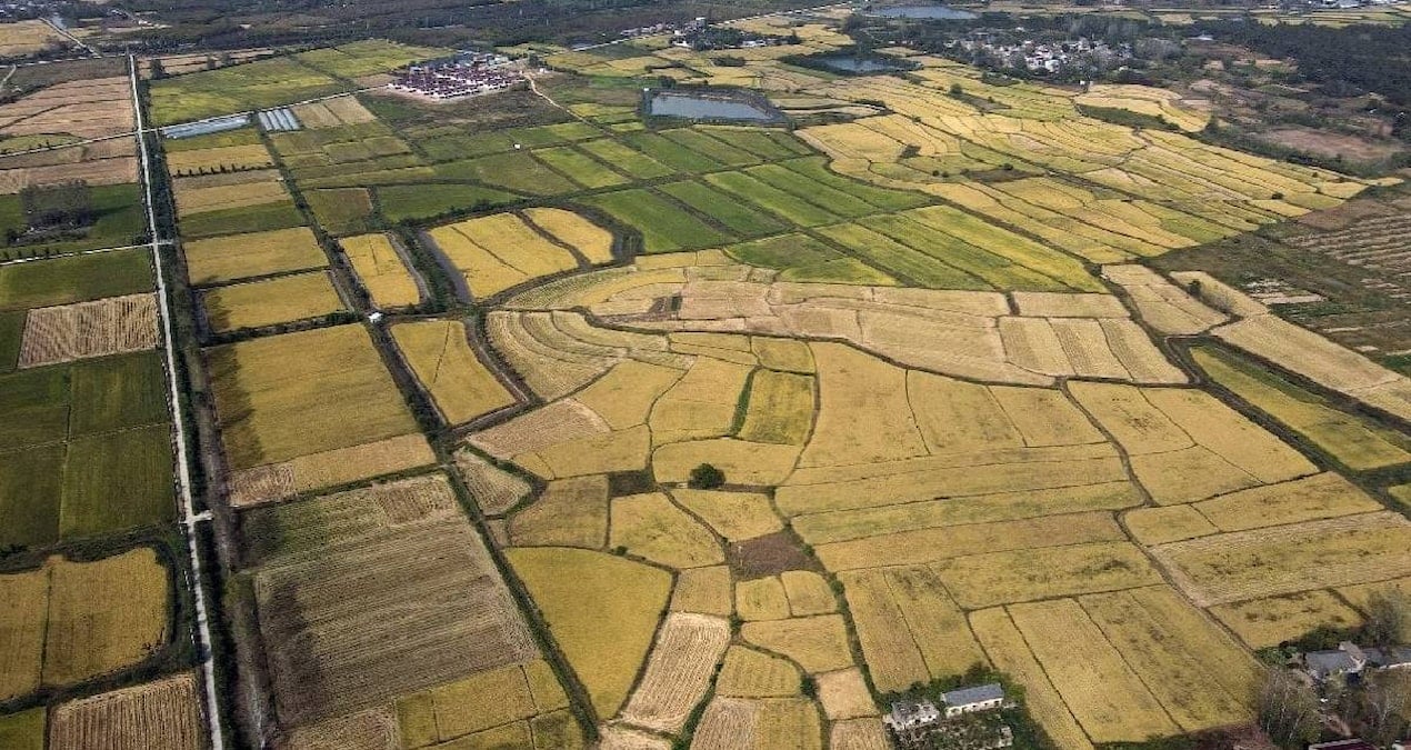 arsa alacaklar olanlar dikkat yargitaydan emsal karar OmeGIRUK