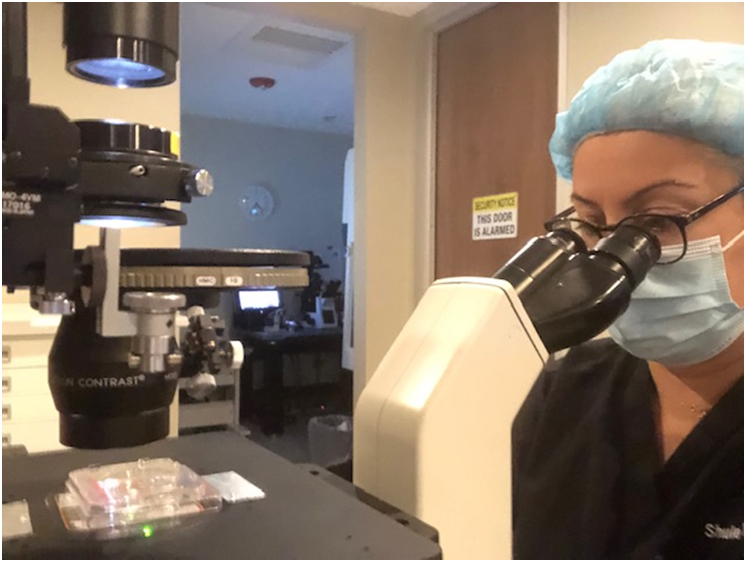 ABD’de Türk Kadınının Tüp Bebek Sektöründeki Başarısı